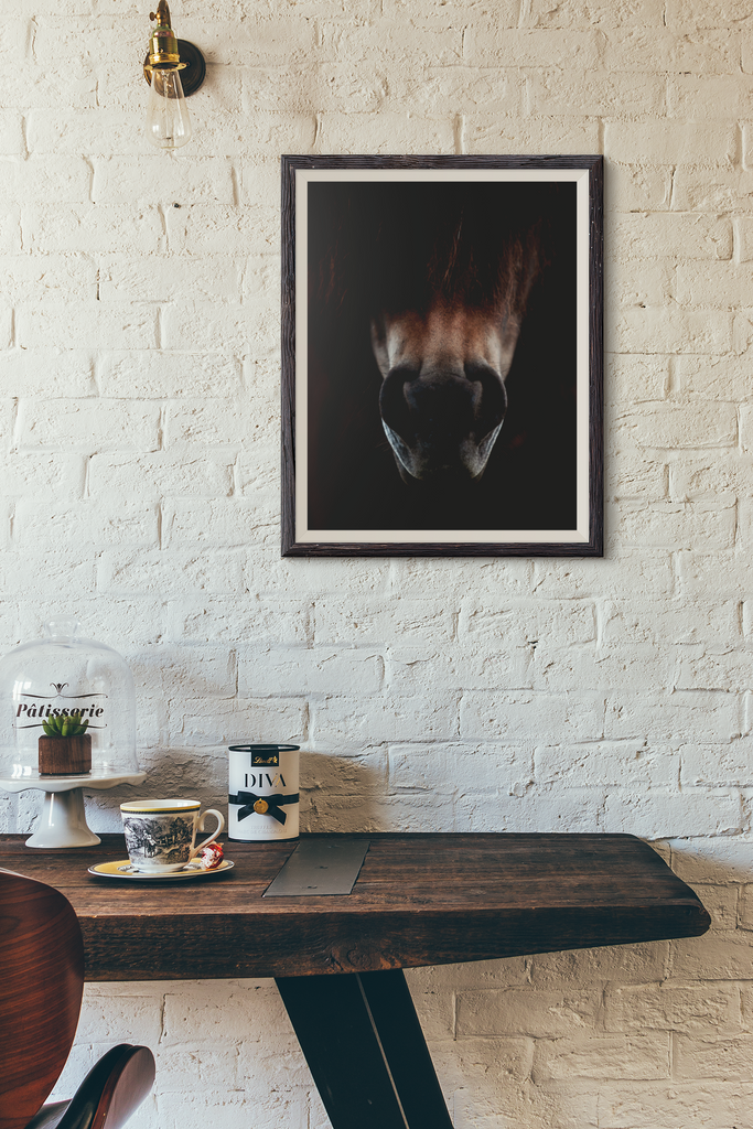 Horse nose fine art photo framed